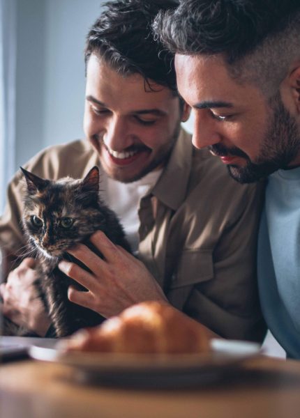 Insurance mortgage adviser Happy Gay Couple in Love Having Healthy Breakfast and Playing wi